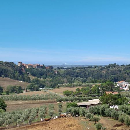 Locazione Turistica Il Secondo-3 Bibbona Esterno foto